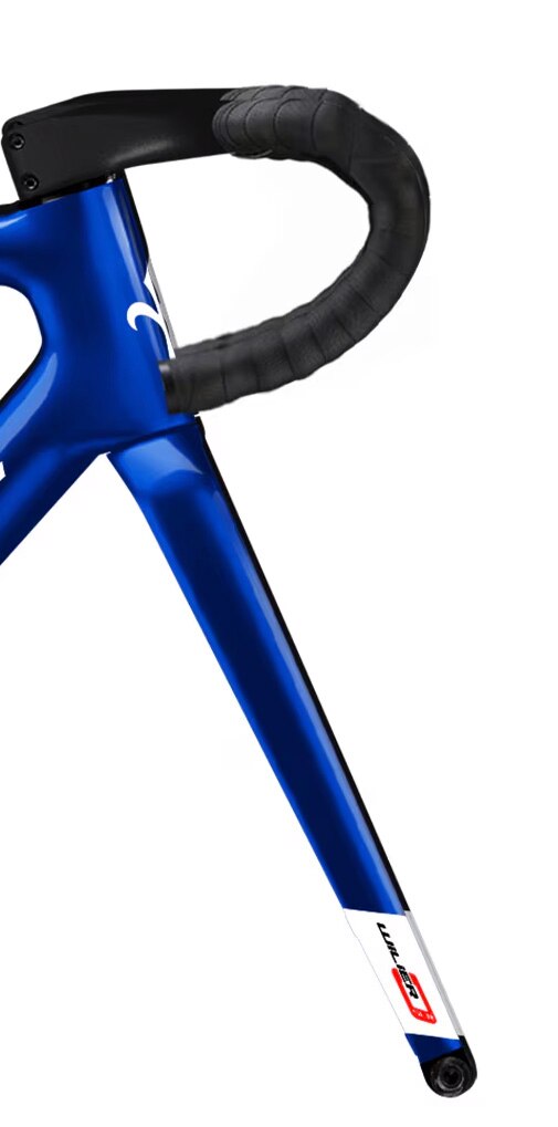WILIER FORK 700 FOR WILIER 0 SLR DISC BLUE GLOSSY
