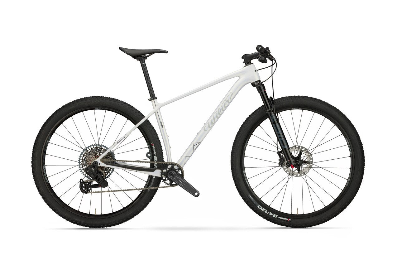 BIKE WILIER USMA SL NX EAGLE 1X12 XM45 RECON