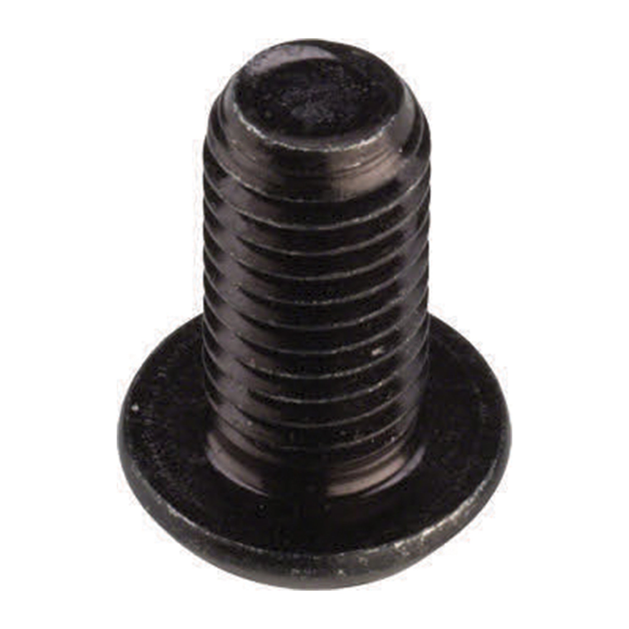 CURB DOG BMX BMX M10X17 ALLEN CHAINRING BOLT