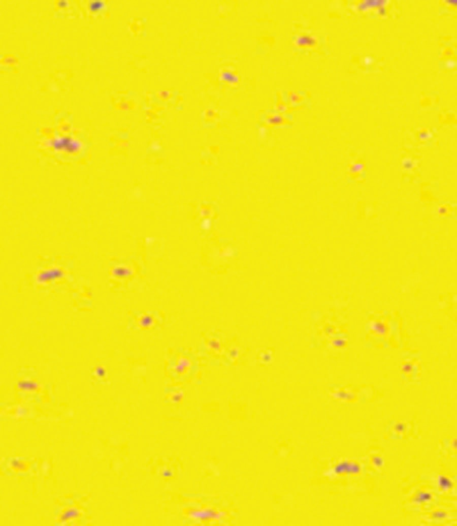 TAPE ACTION CORK YELLOW