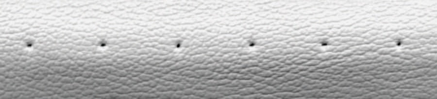 TAPE ACTION PADDED WHITE