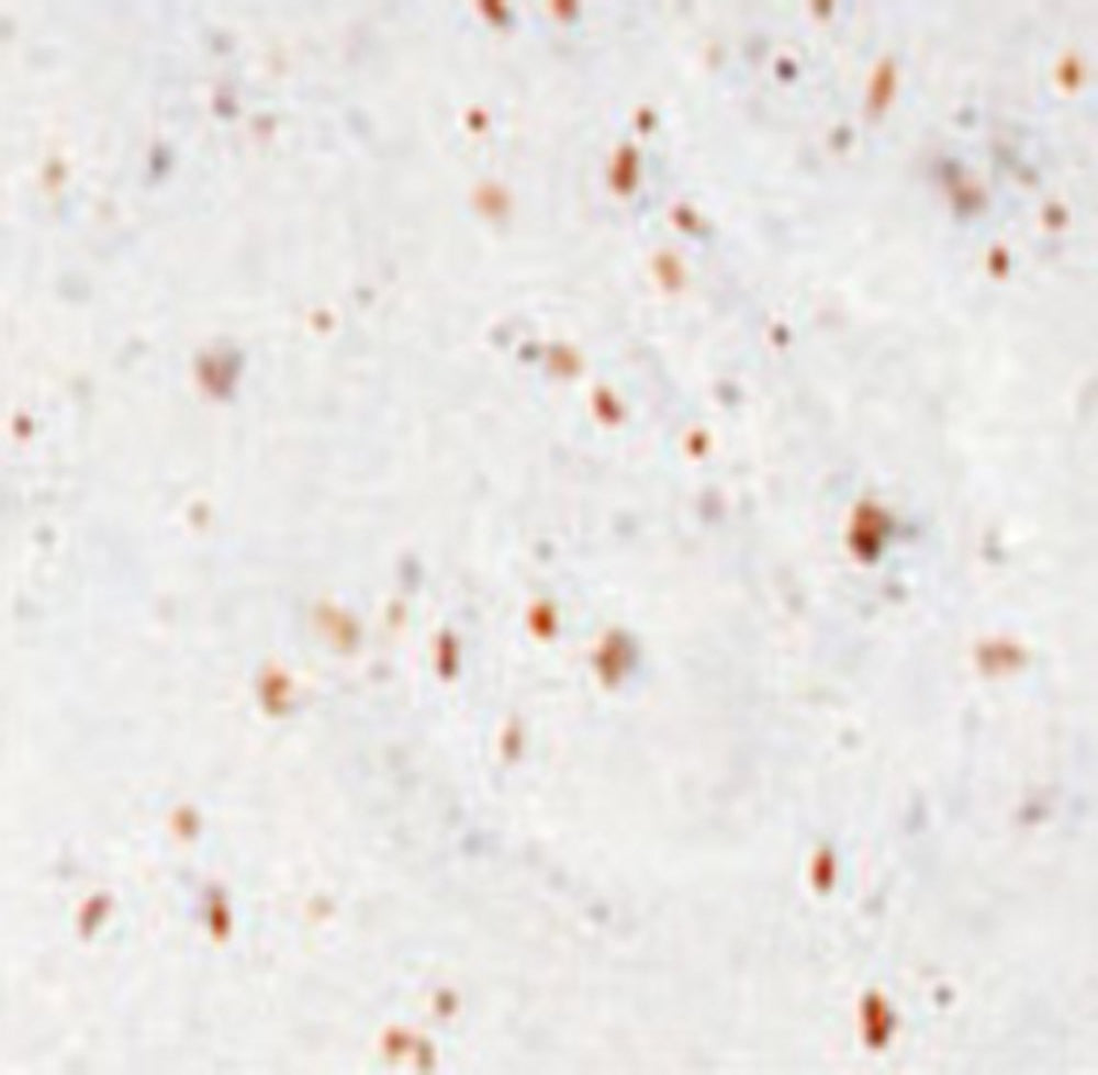 CYCLONE SOUL ROLL GEL CORK TAPE WHITE