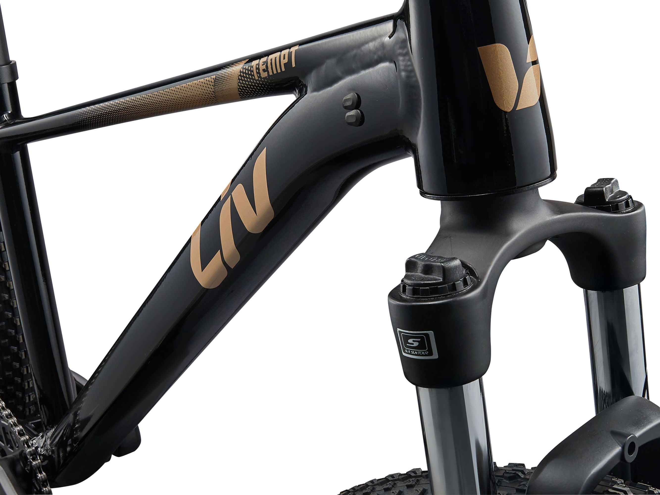 Bike Liv Tempt 4